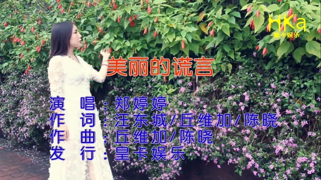 郑婷婷 - 美丽的谎言